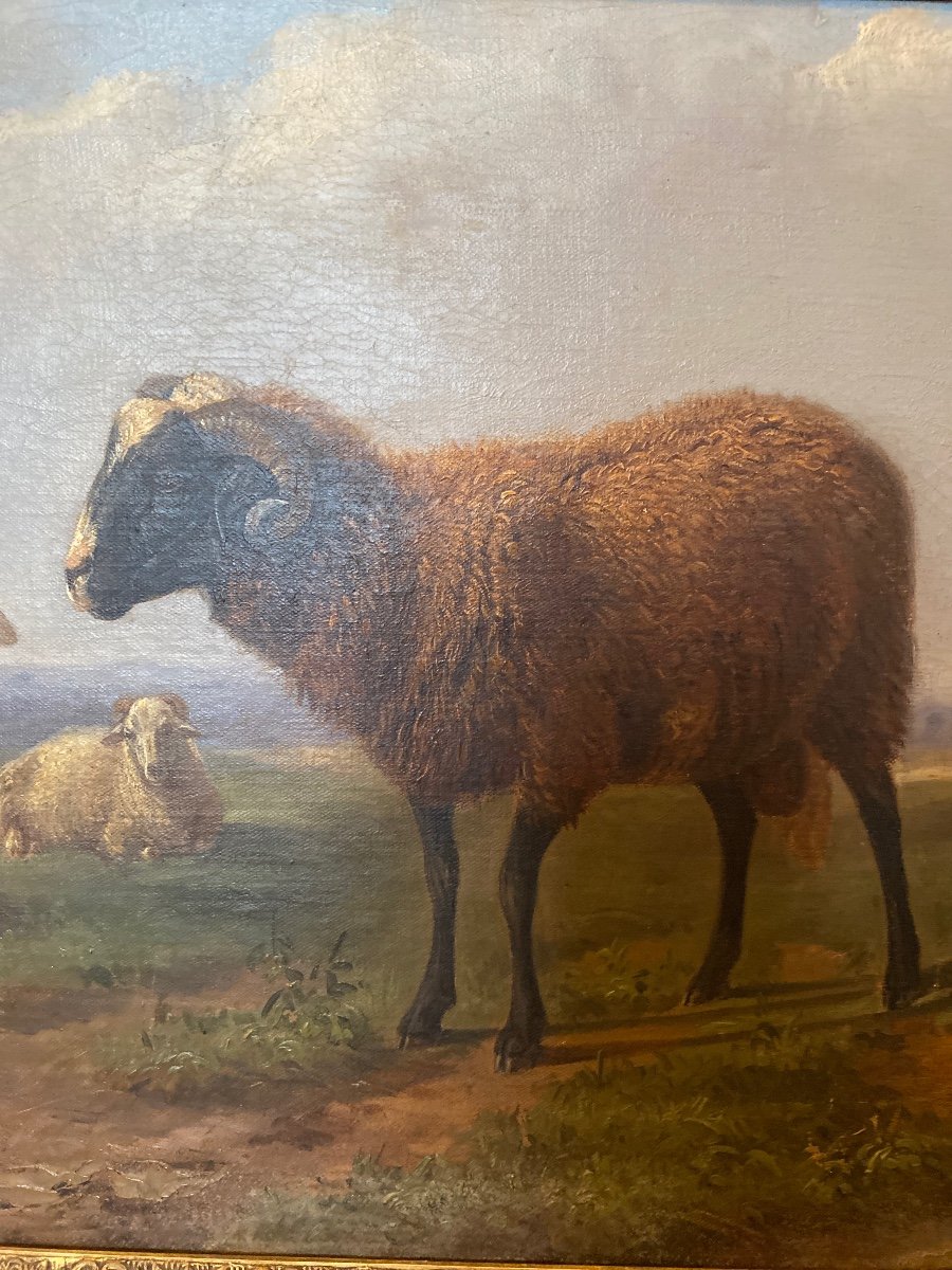 Paul Gelibert  (1802-1882) “the Ram” Oil On Canvas -photo-2