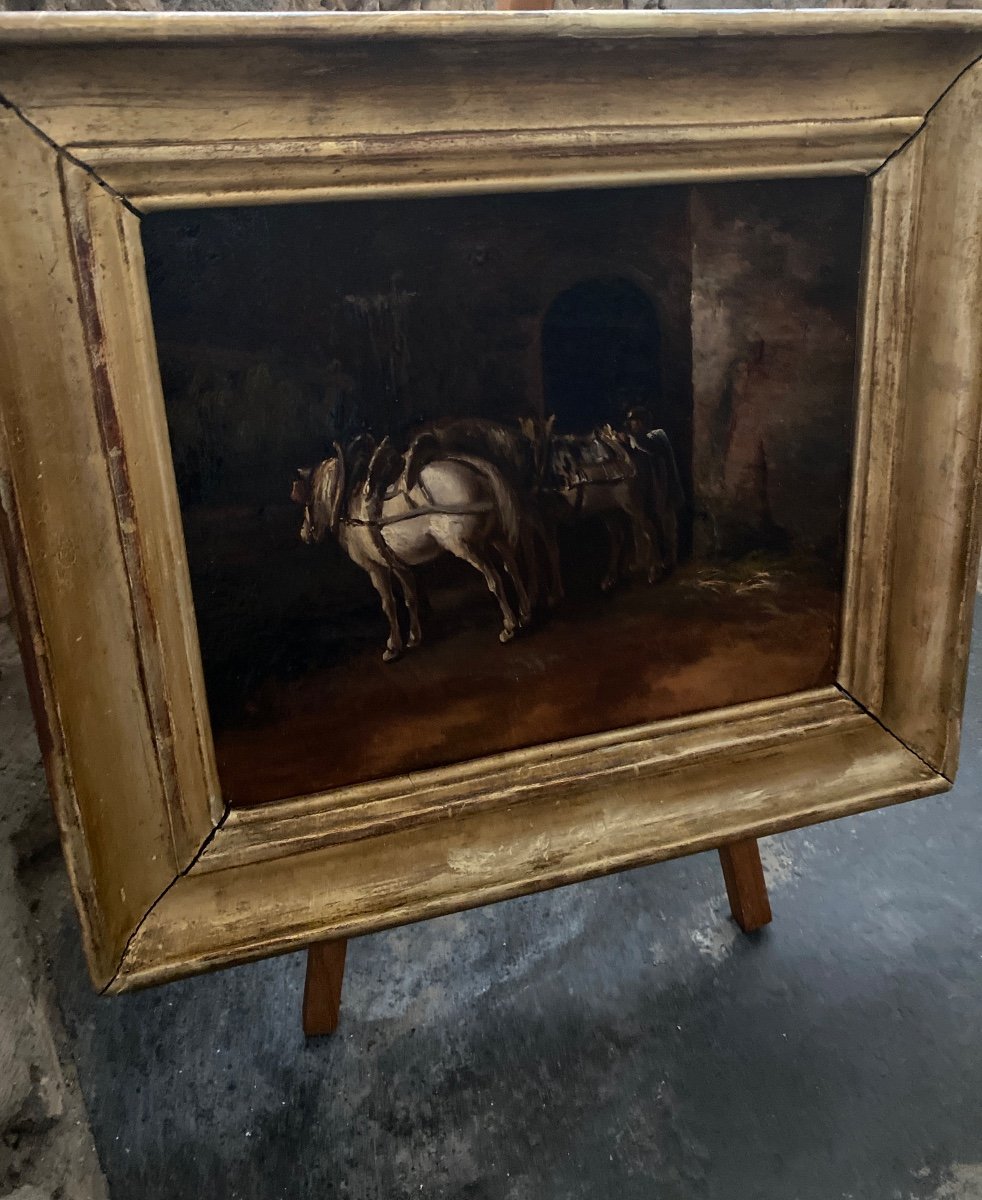 Bullfighting Horses Oil On Canvas XIX Eme-photo-1