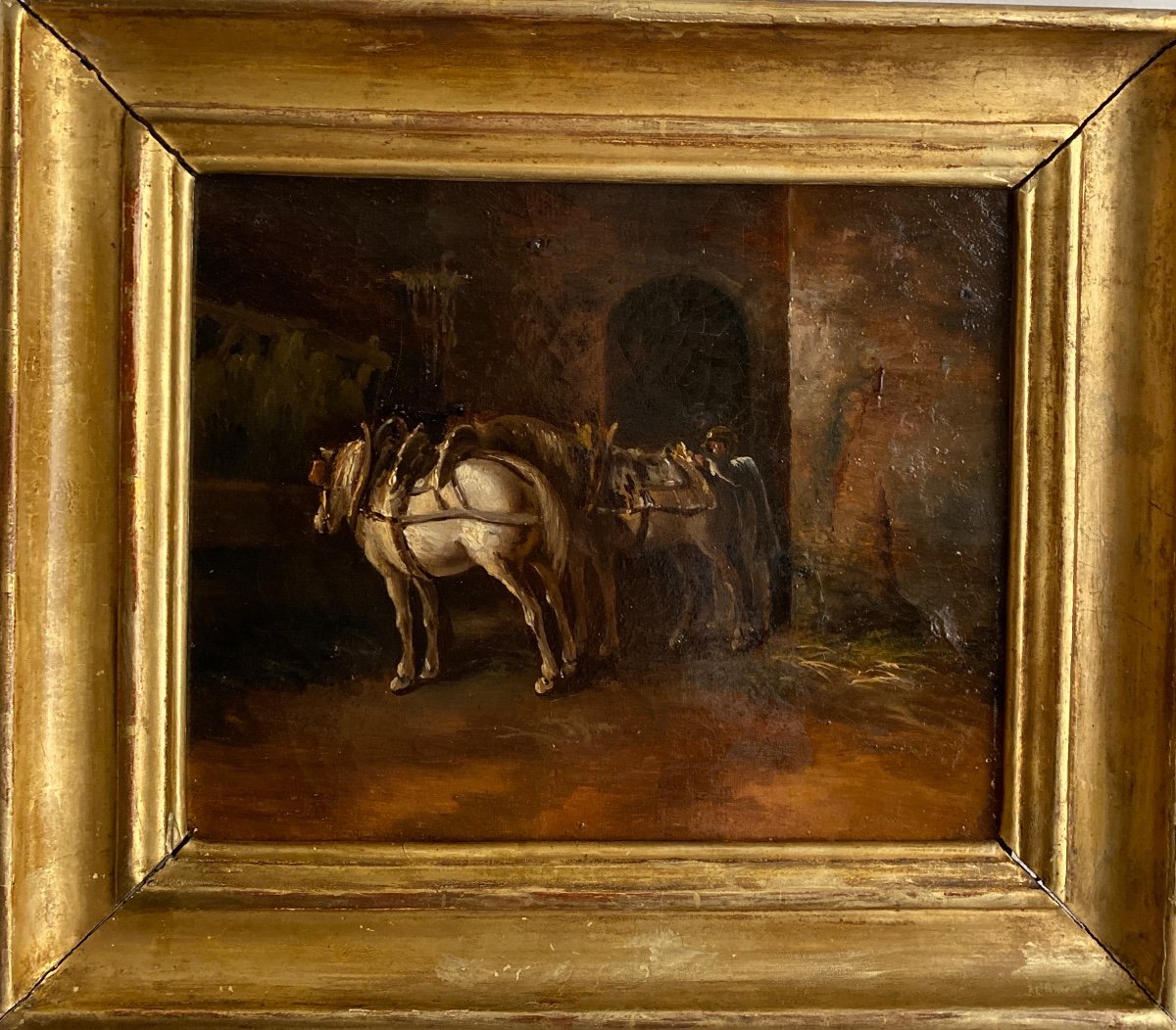 Bullfighting Horses Oil On Canvas XIX Eme-photo-4