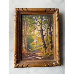 Charles Fauchier (1887-1965) Oil On Cardboard “passage In The Woods”