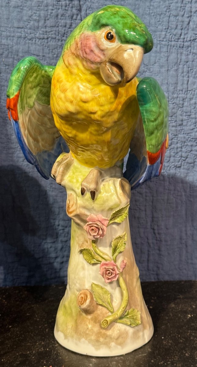 Parrot On Flowering Branch 