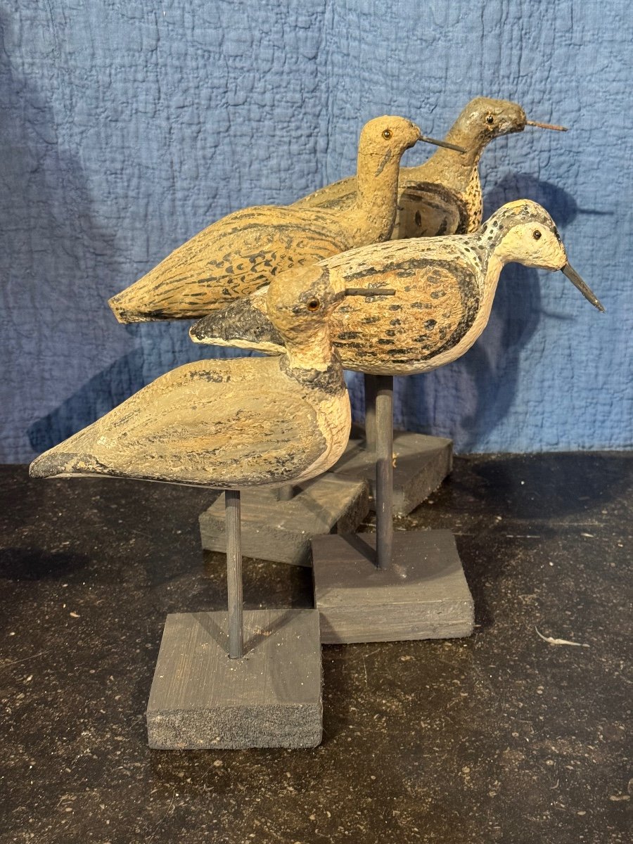 Set Of Four French Hunting Decoys, Early 20th Century-photo-2