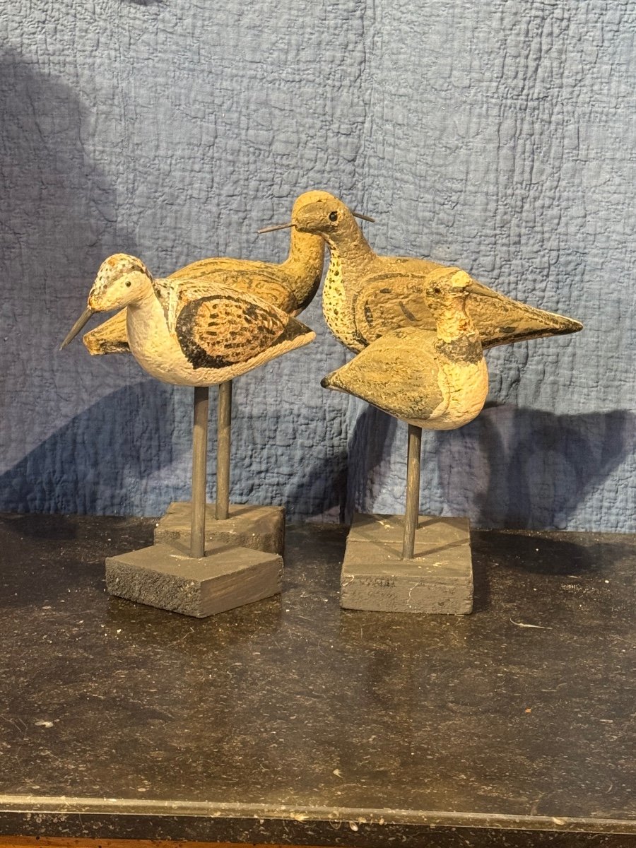 Set Of Four French Hunting Decoys, Early 20th Century-photo-8