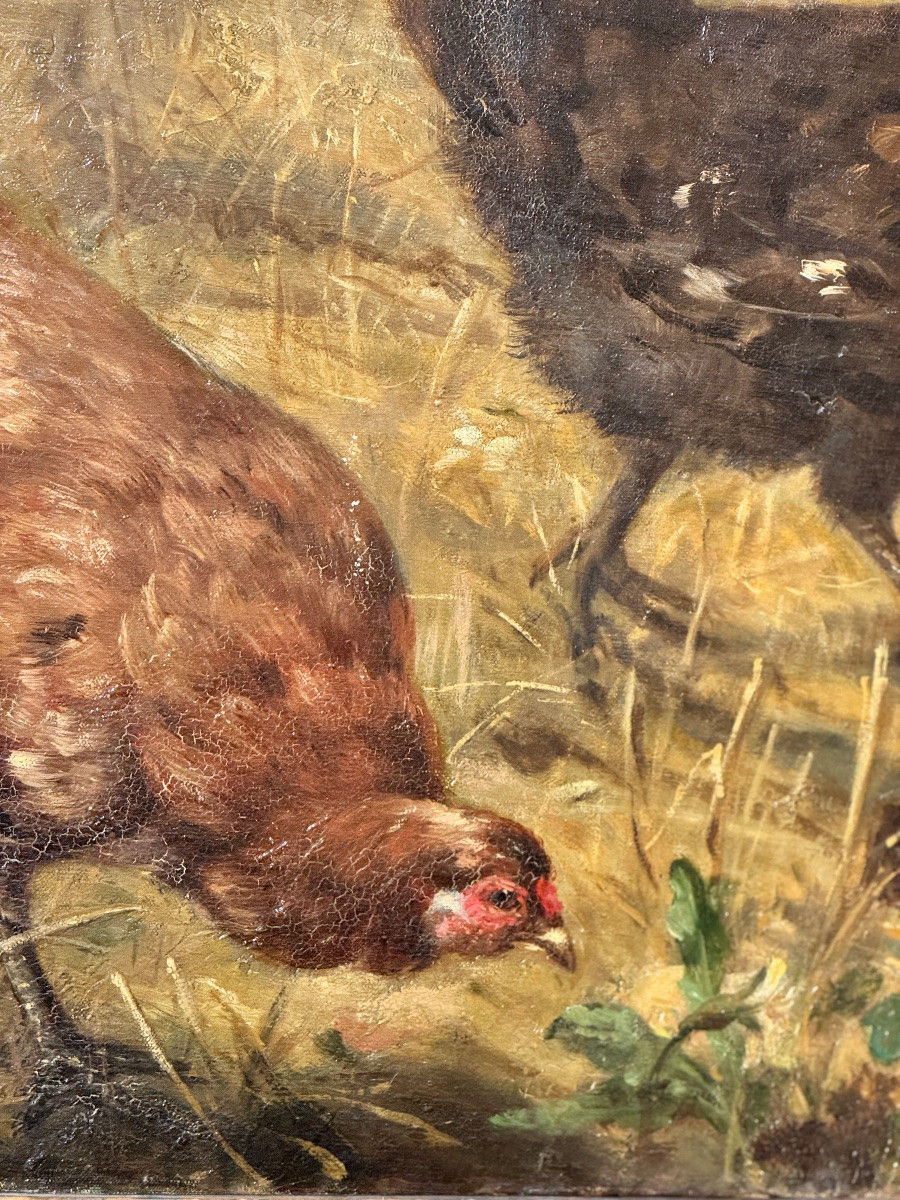 Très grande peinture Sur Toile Poules Et Coq Dans Un Champ 19ieme -photo-2