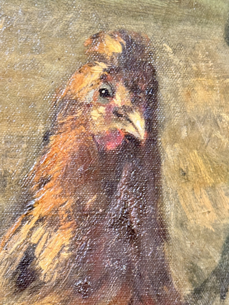 Très grande peinture Sur Toile Poules Et Coq Dans Un Champ 19ieme -photo-4