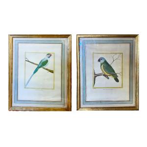 2 18th Century Bird Engravings For Diderot's Encyclopedia.  