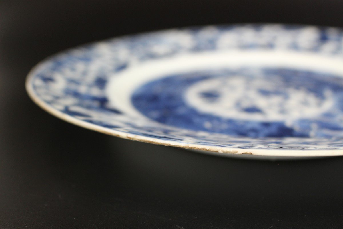 Chinese Porcelain Sish Kangxi / Yongzheng 18th Century Blue And White Plate-photo-7