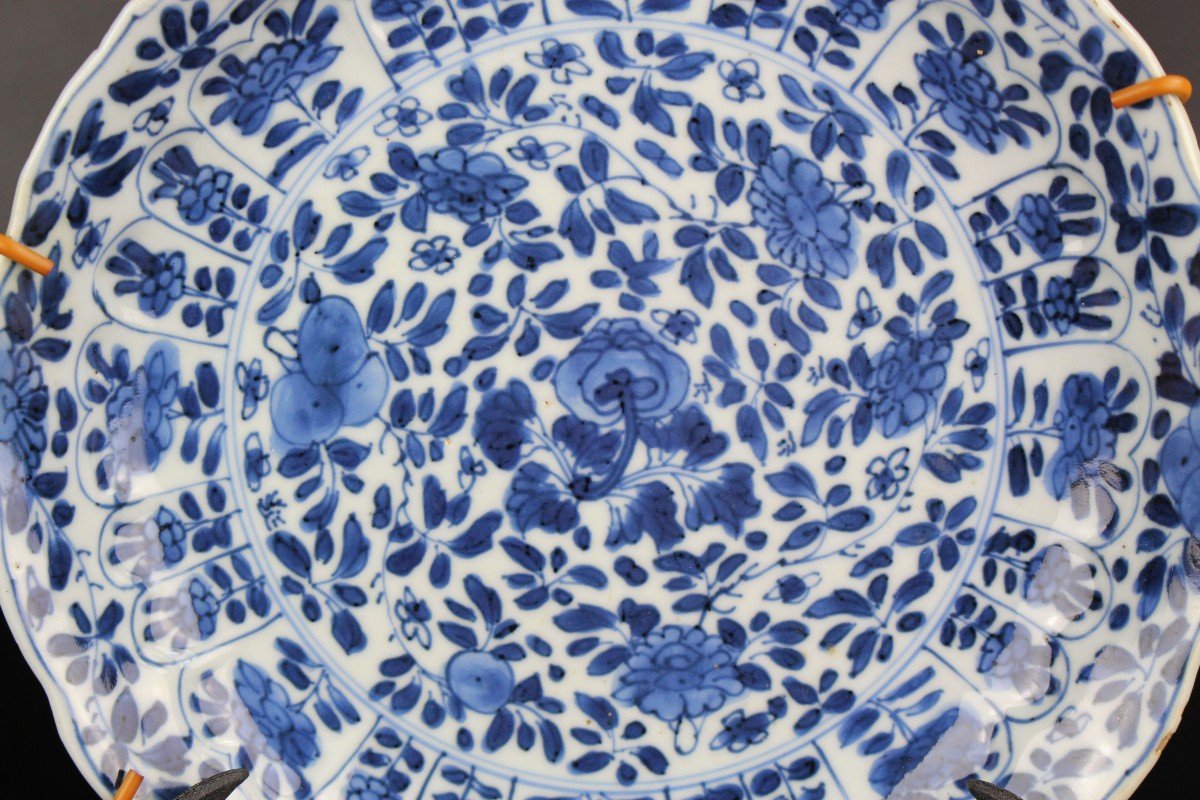 Kangxi Dishes Two Chinese Blue And White Porcelain Lingzhi Mark 18th Century Qing Dynasty Plate-photo-3