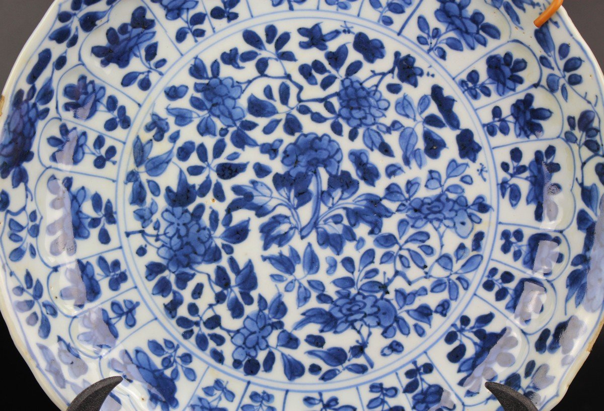 Kangxi Dishes Two Chinese Blue And White Porcelain Lingzhi Mark 18th Century Qing Dynasty Plate-photo-3