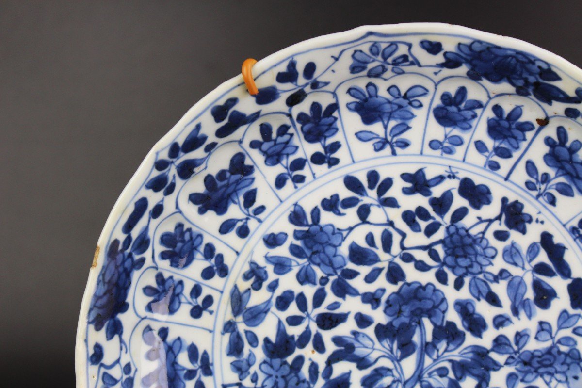 Kangxi Dishes Two Chinese Blue And White Porcelain Lingzhi Mark 18th Century Qing Dynasty Plate-photo-4