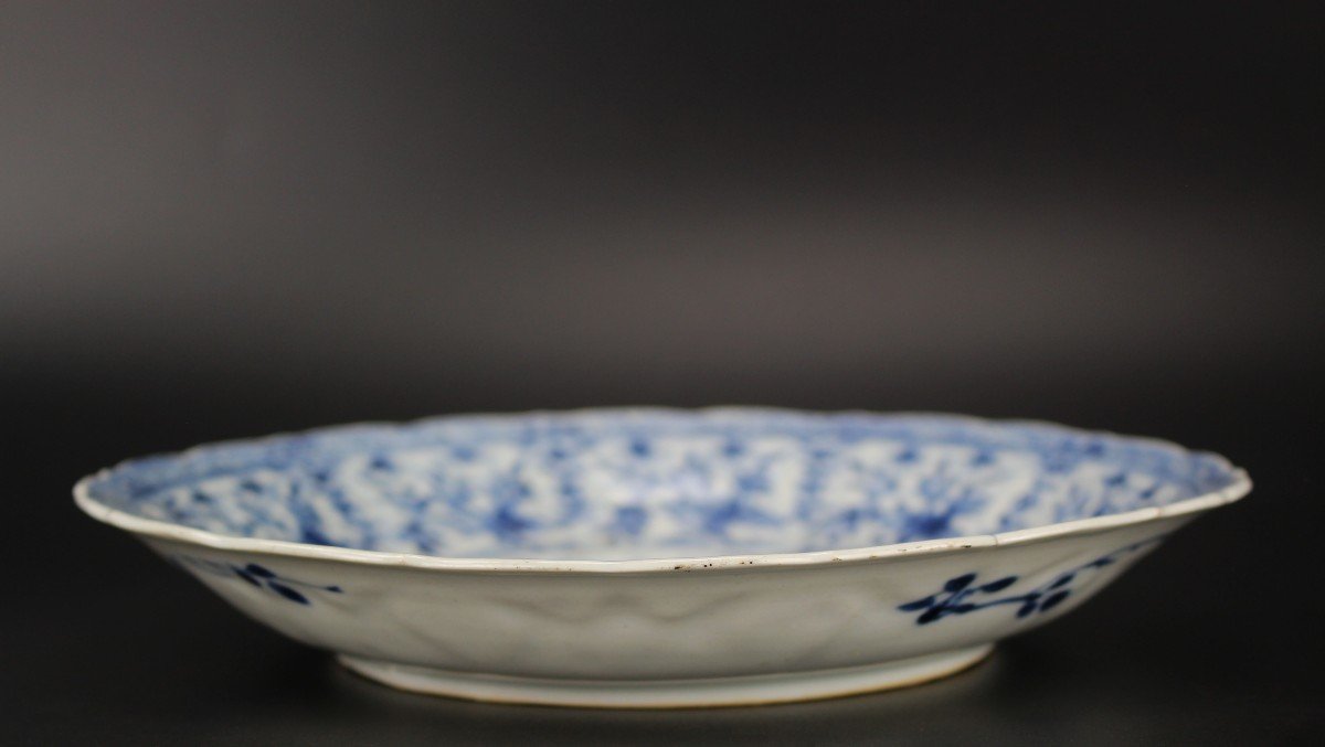 Five Chinese Porcelain Kangxi Plates Blue And White Qing Dynasty Antique 18th Century Dishes-photo-3