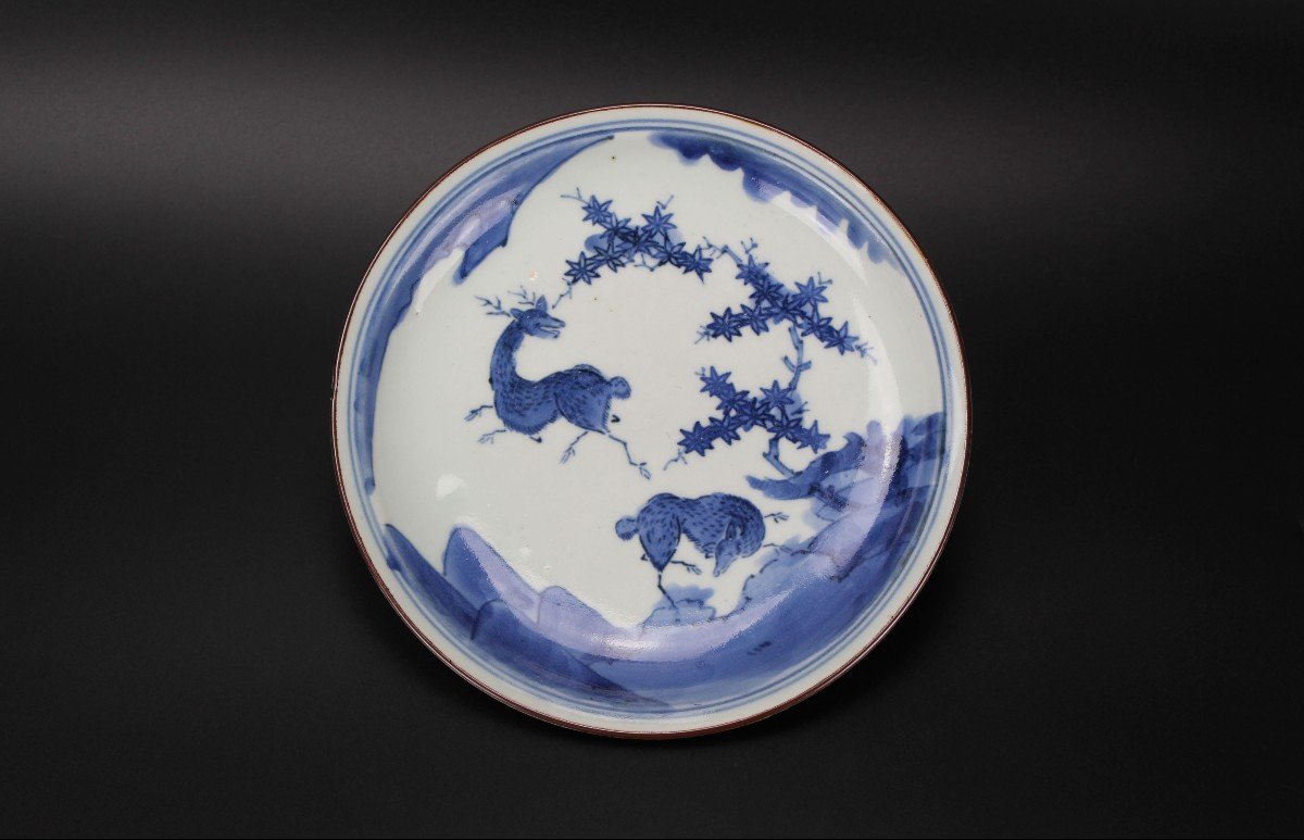 Plat En Porcelaine Japonaise Bleu Et Blanc époque Edo (1603-1868) XVIIe Siècle / XVIIIe siècle-photo-2