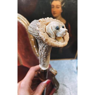 Cane In Vois, Knob In Carved Deer Antler