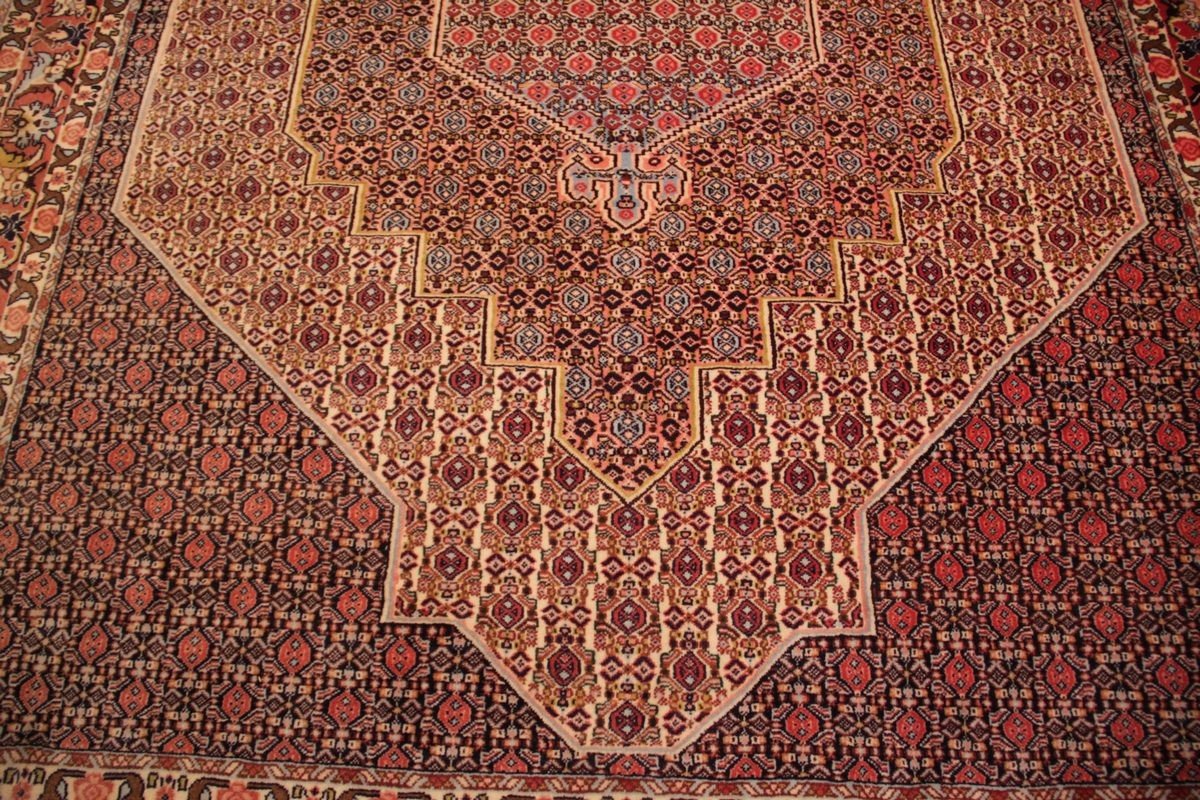 Tapis Senneh Iran 284 x 197 cm-photo-4