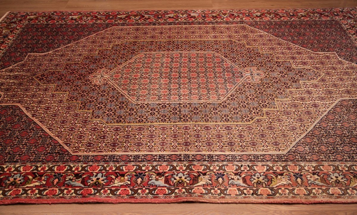 Tapis Senneh Iran 284 x 197 cm-photo-3