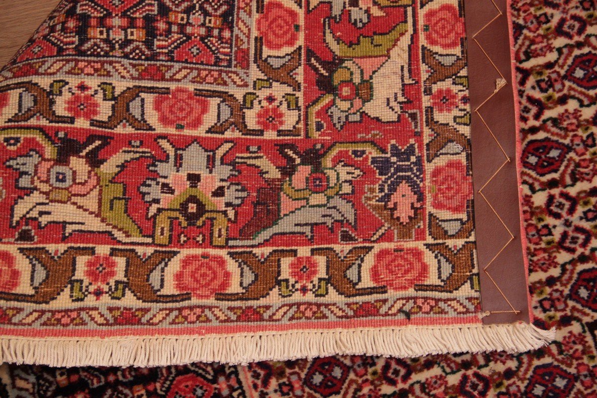 Tapis Senneh Iran 284 x 197 cm-photo-5