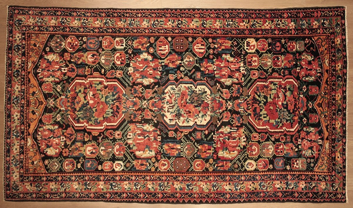 Tapis bakthiar faradoumbé Iran 300 x 170 cm-photo-2