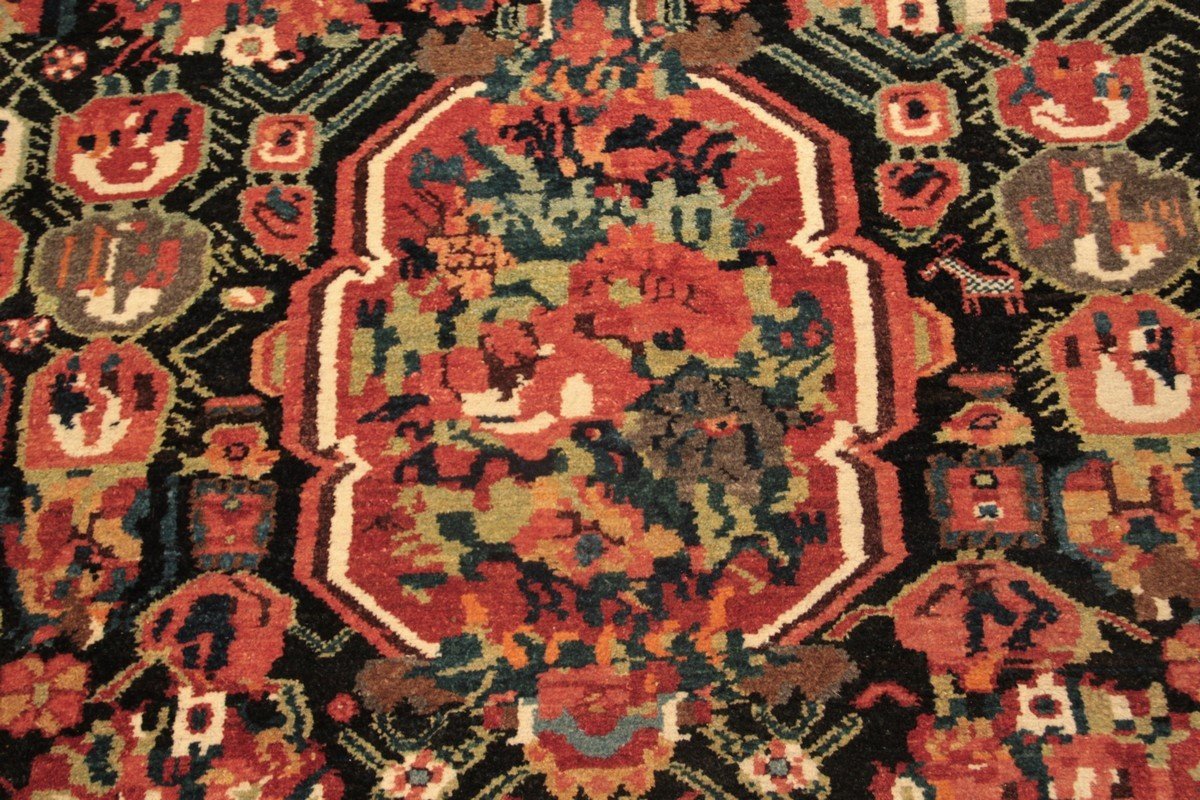 Tapis bakthiar faradoumbé Iran 300 x 170 cm-photo-1