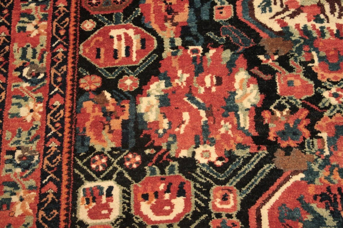 Tapis bakthiar faradoumbé Iran 300 x 170 cm-photo-3