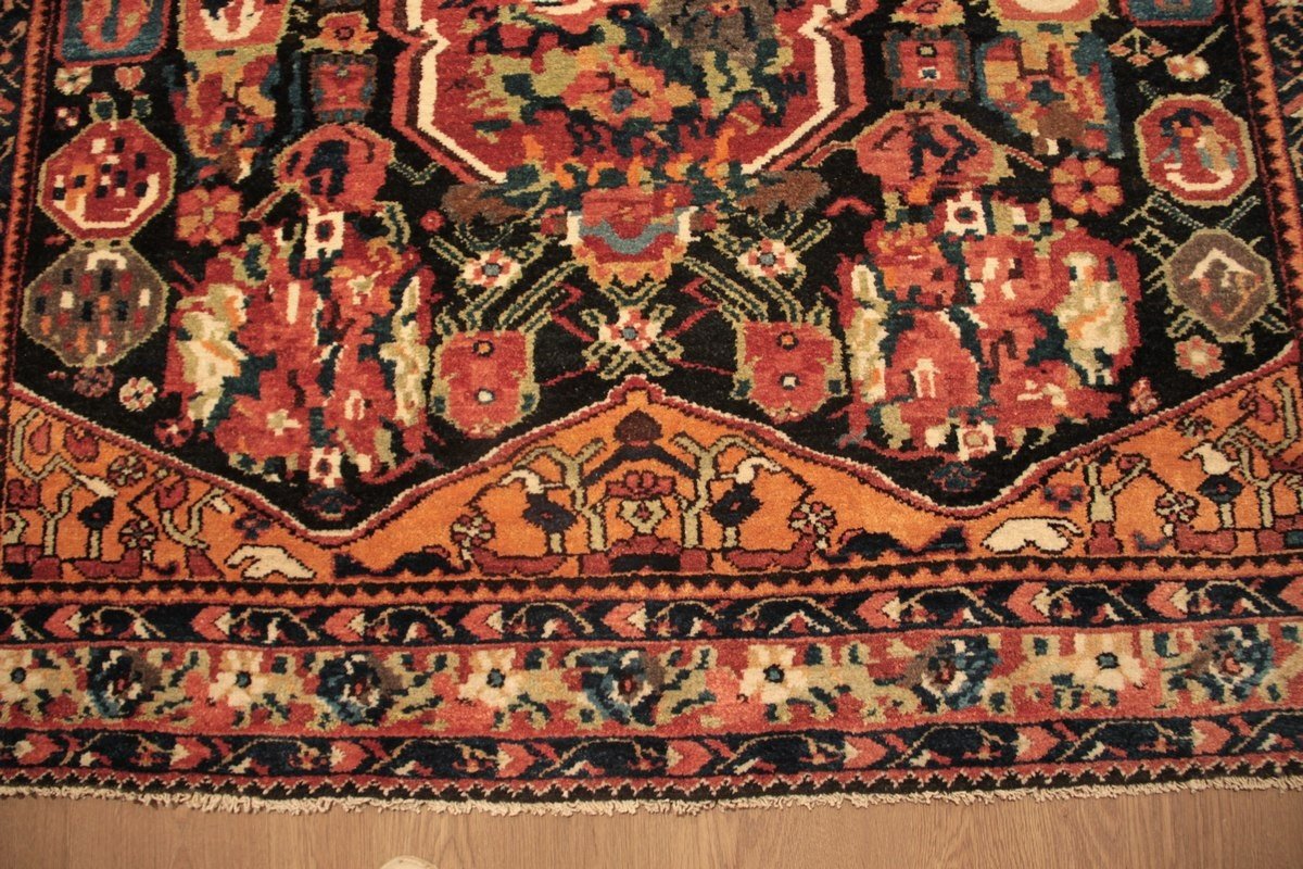 Tapis bakthiar faradoumbé Iran 300 x 170 cm-photo-4