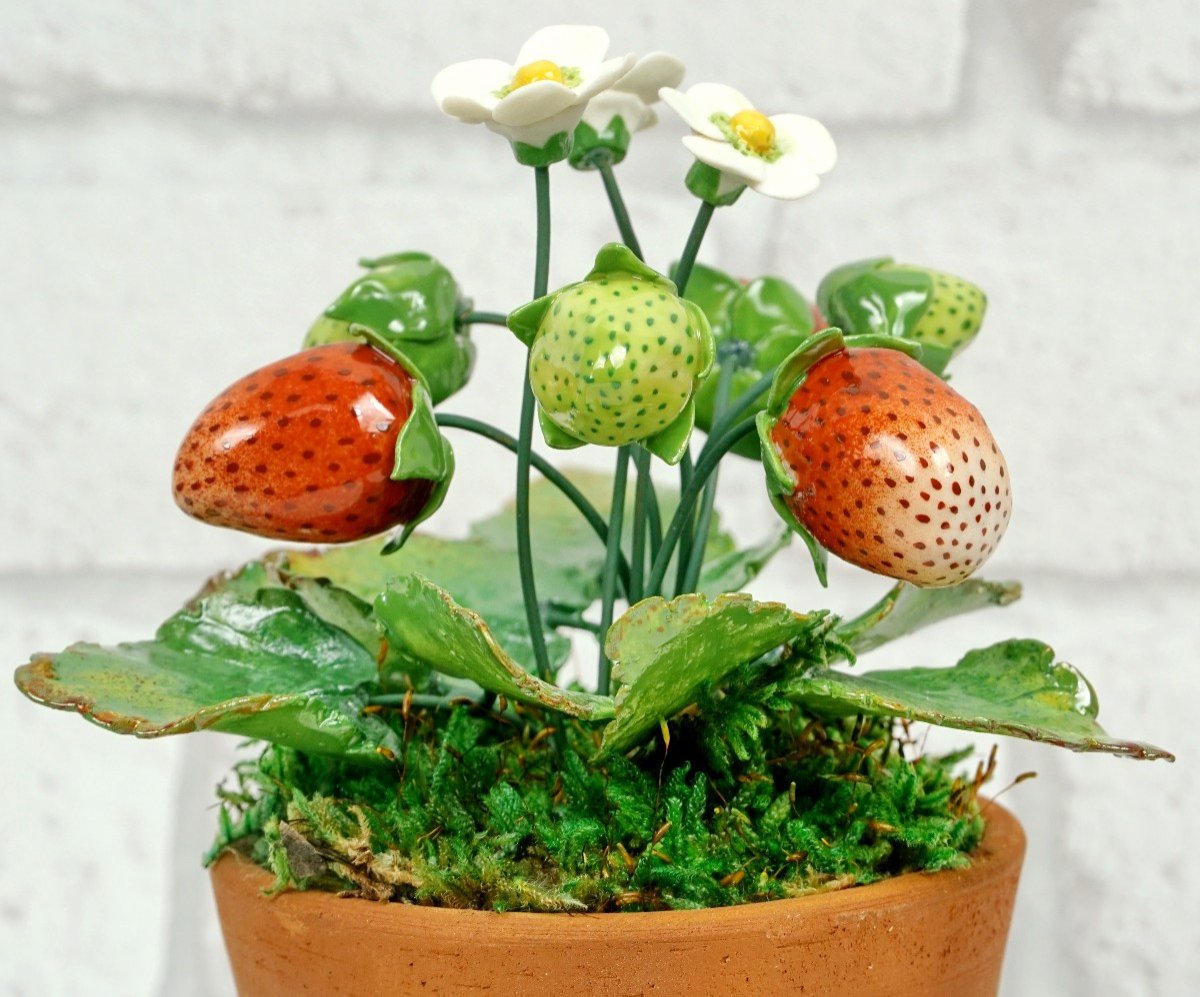 Fruits - Pied De Fraisier En Porcelaine De Didier Gardillou - Ep. XXIe-photo-3