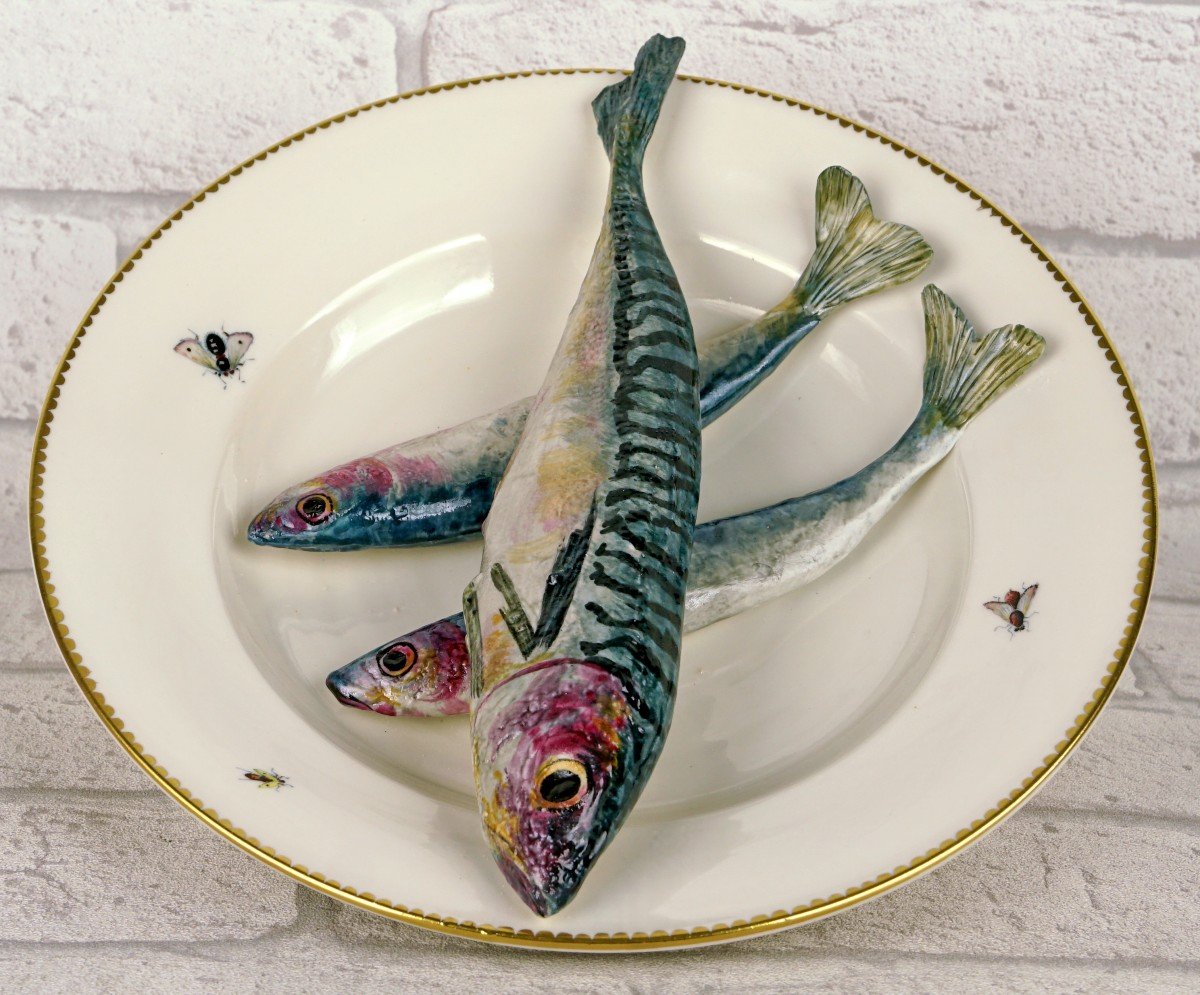 Trompe l'Oeil Plate With Fish "mackerel And Sardines" In Porcelain By Didier Gardillou -photo-2