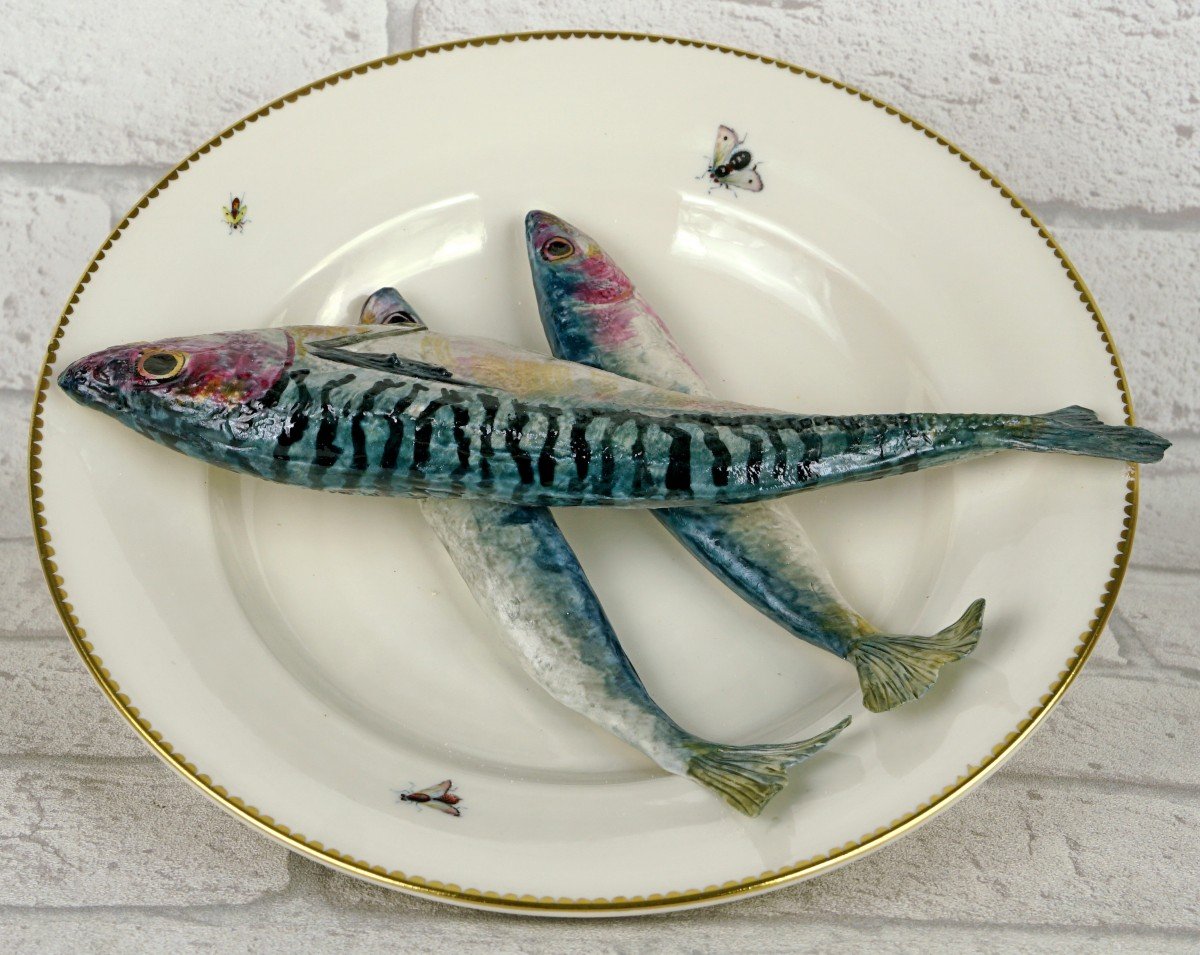 Trompe l'Oeil Plate With Fish "mackerel And Sardines" In Porcelain By Didier Gardillou -photo-3