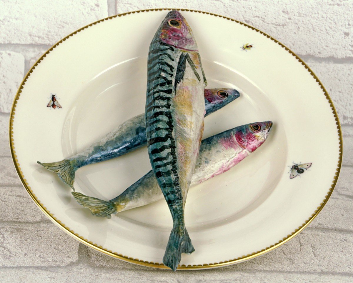 Trompe l'Oeil Plate With Fish "mackerel And Sardines" In Porcelain By Didier Gardillou -photo-4