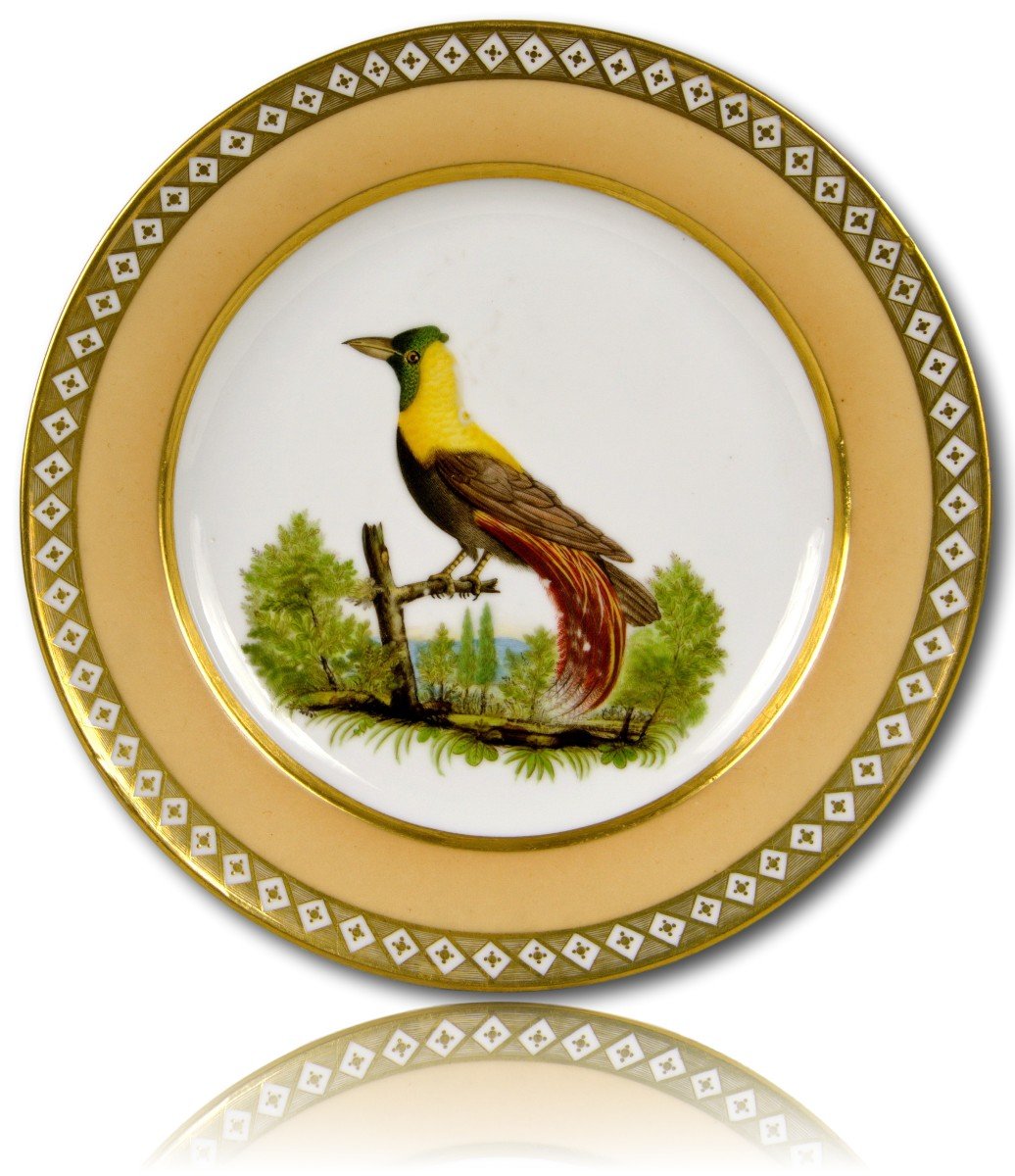 Beautiful Doccia Porcelain Plate - Early 19th Century