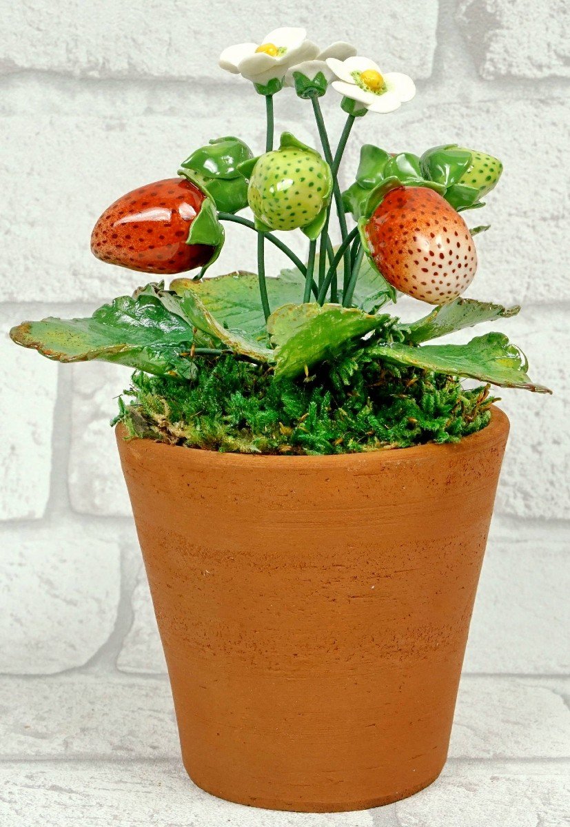 Fruits - Porcelain Strawberry Foot By Didier Gardillou-photo-4