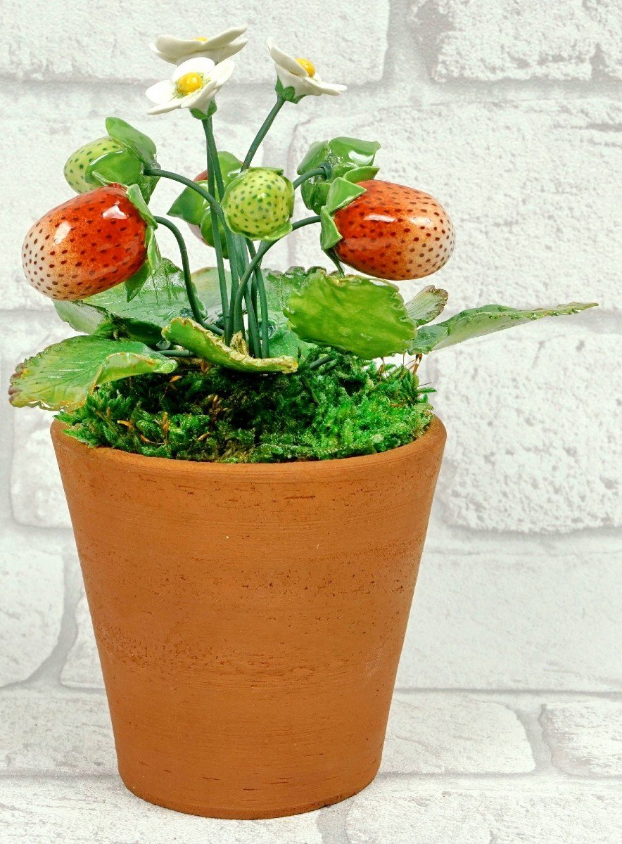 Fruits - Porcelain Strawberry Foot By Didier Gardillou-photo-1