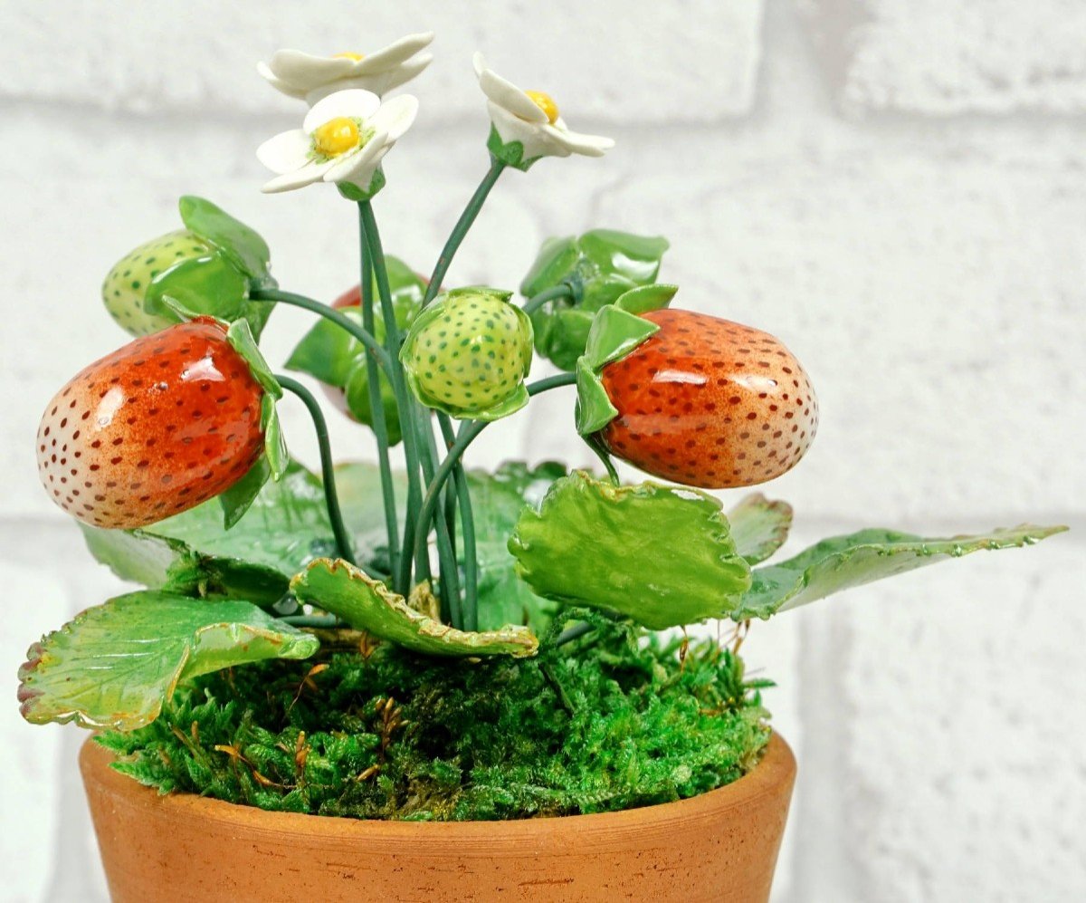 Fruits - Porcelain Strawberry Foot By Didier Gardillou-photo-4