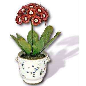 Floral Arrangement Of Primroses By Didier Gardillou And Porcelain Pot From Clignancourt 