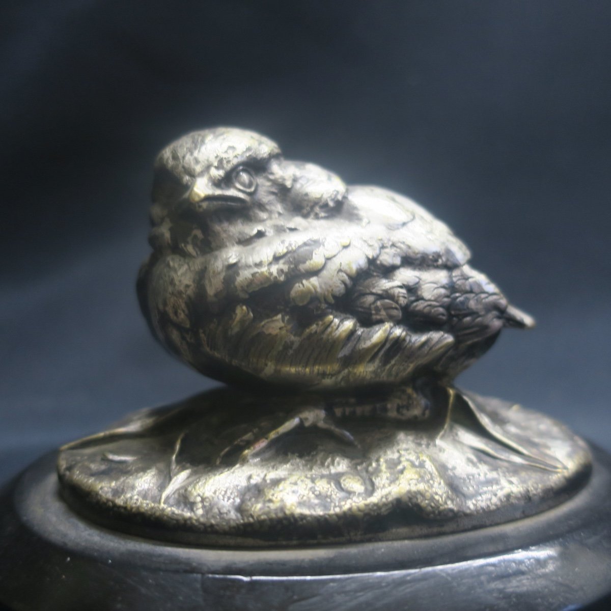 Villeminot Silver Bronze Sparrow-photo-2