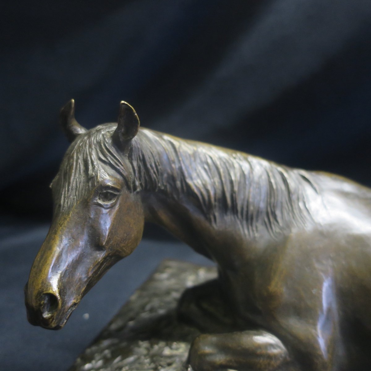 Horse Lying In Bronze By N Golejewski-photo-4