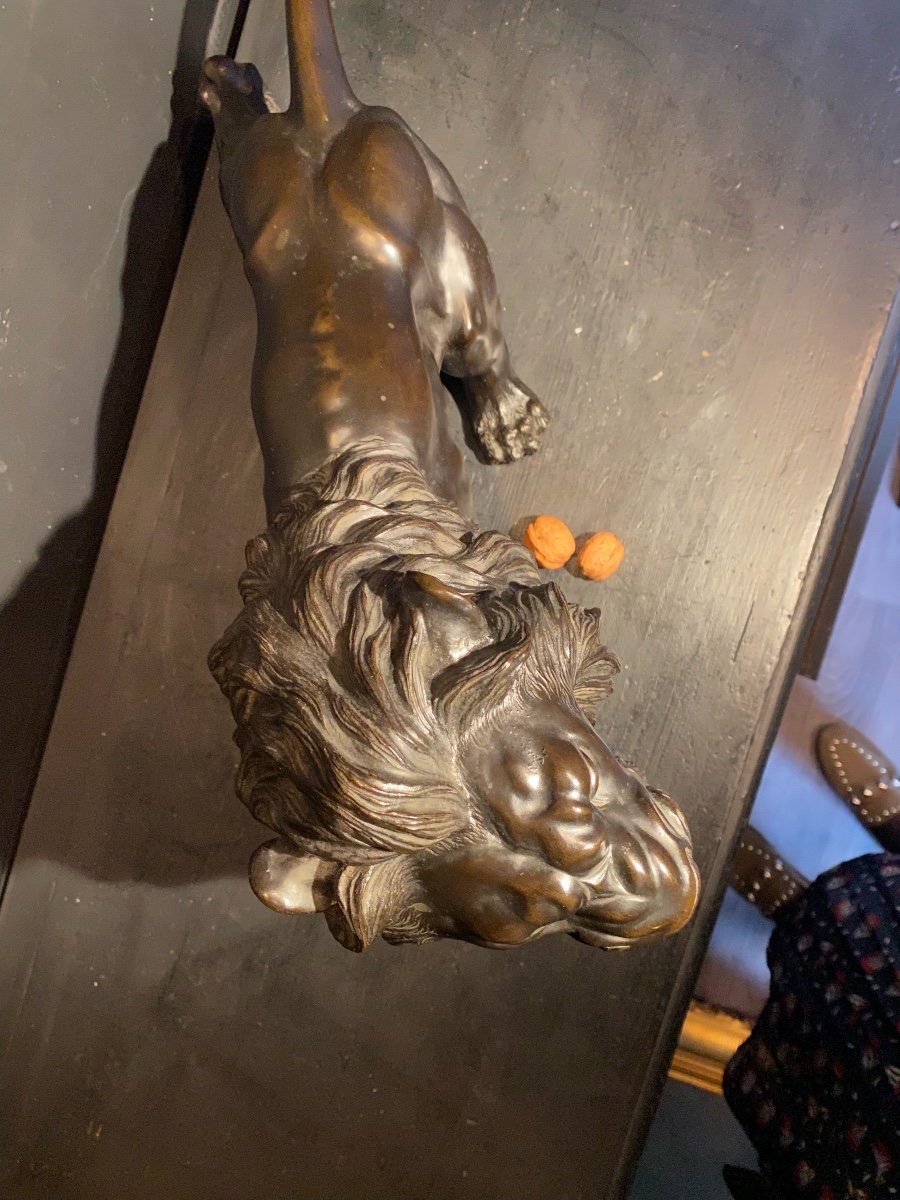 Beau Lion En Bronze-photo-4