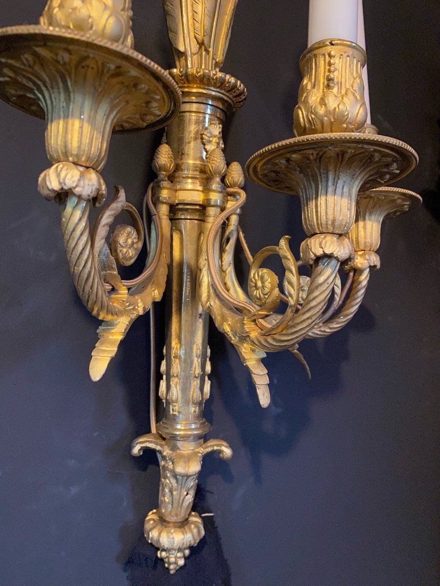 Pair Of Louis XVI Sconces-photo-6