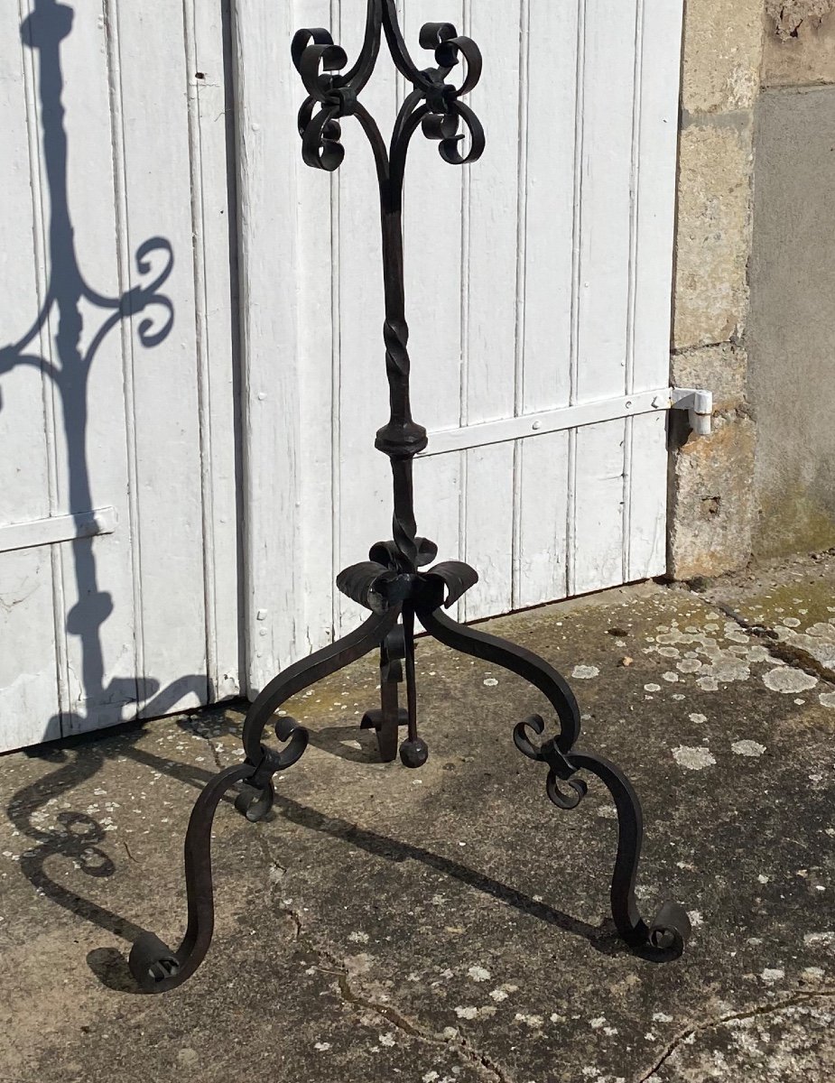 Wrought Iron Floor Lamp-photo-2