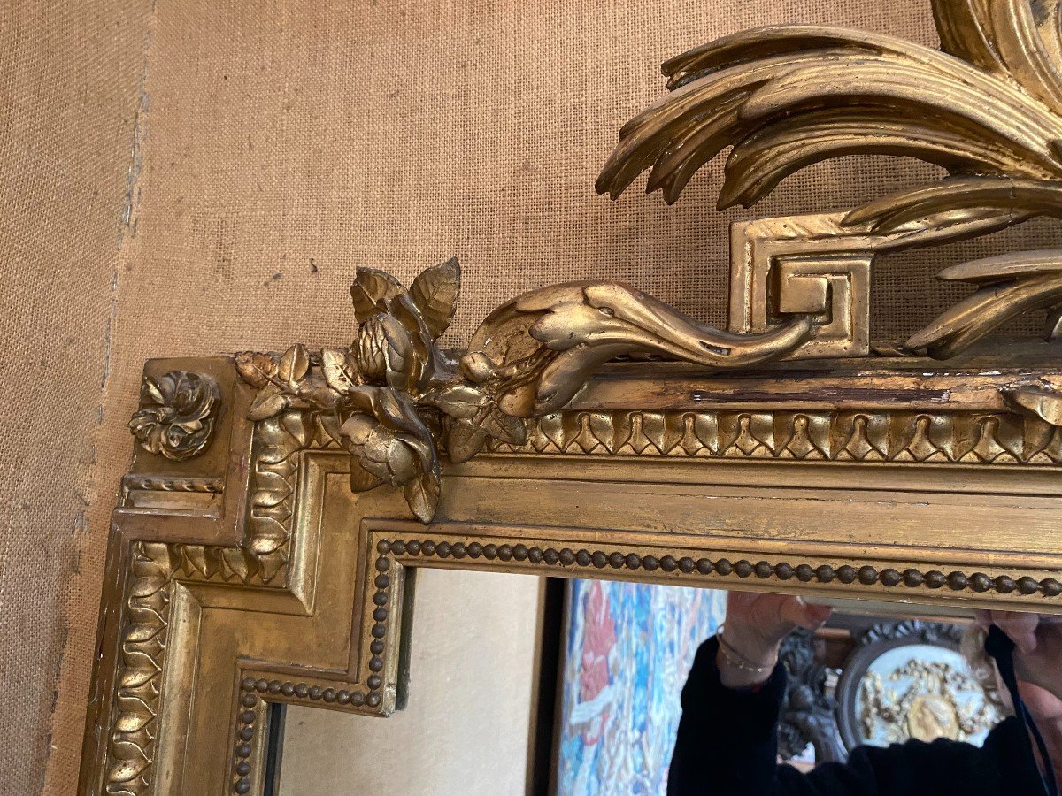 Very Large Mirror, Mirror, In Gilded Wood-photo-3