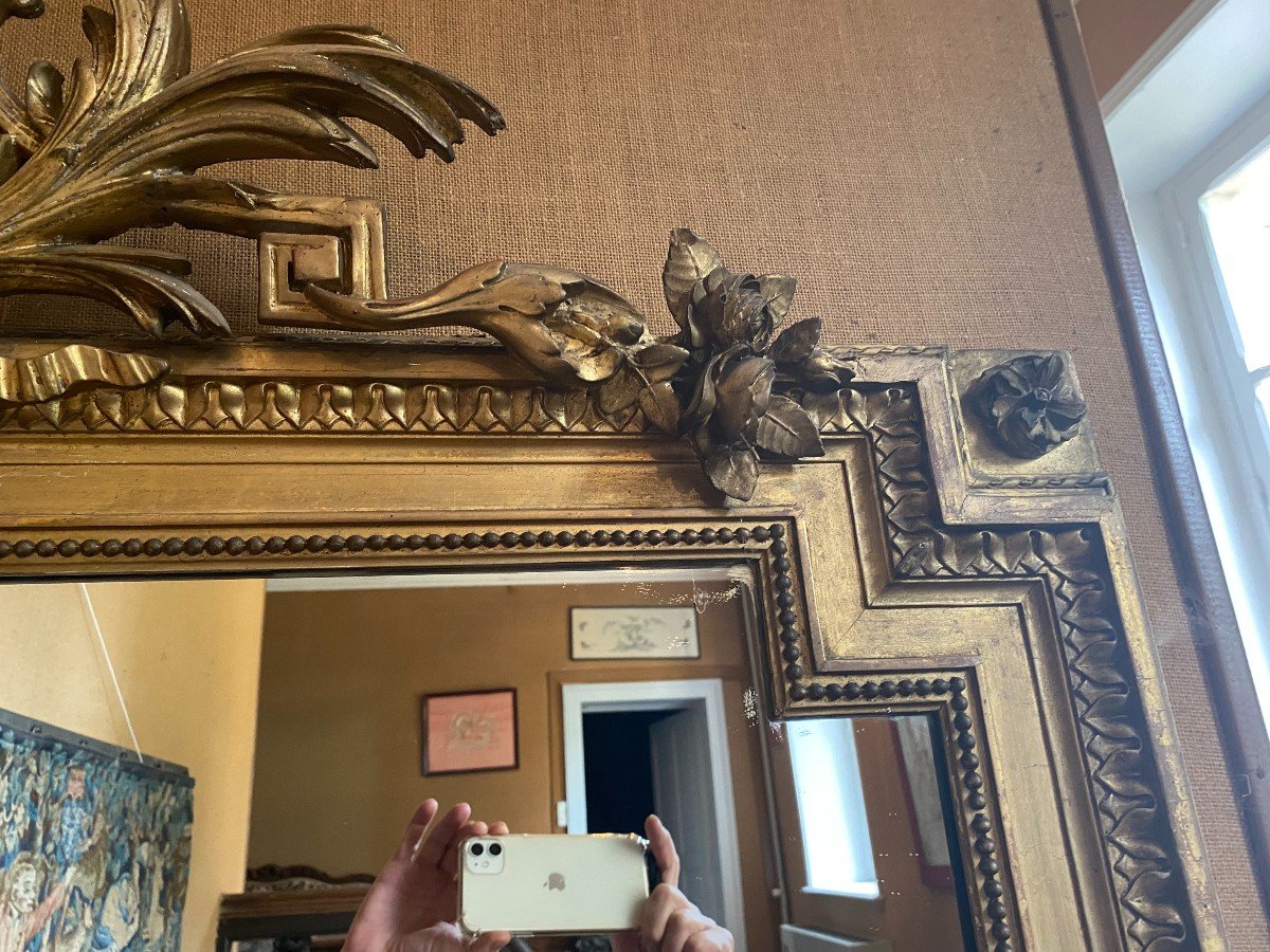 Very Large Mirror, Mirror, In Gilded Wood-photo-1