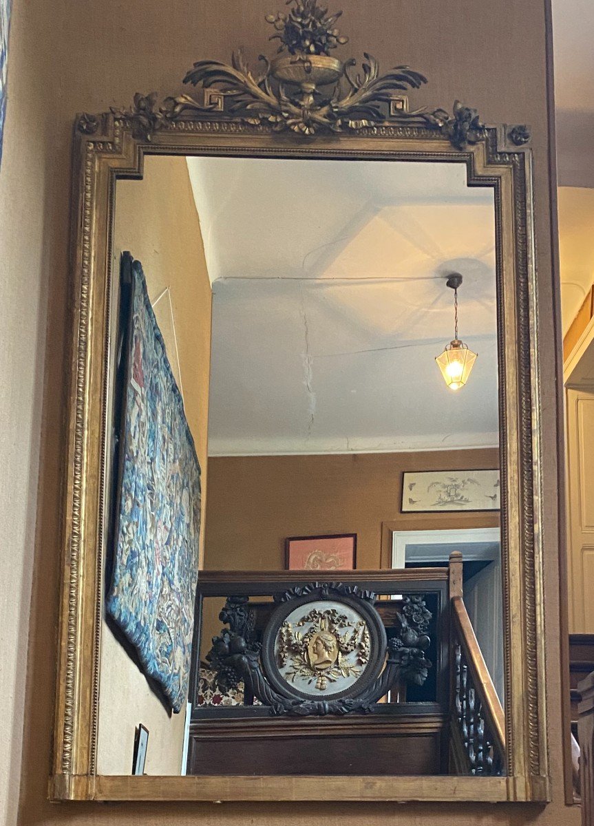 Very Large Mirror, Mirror, In Gilded Wood