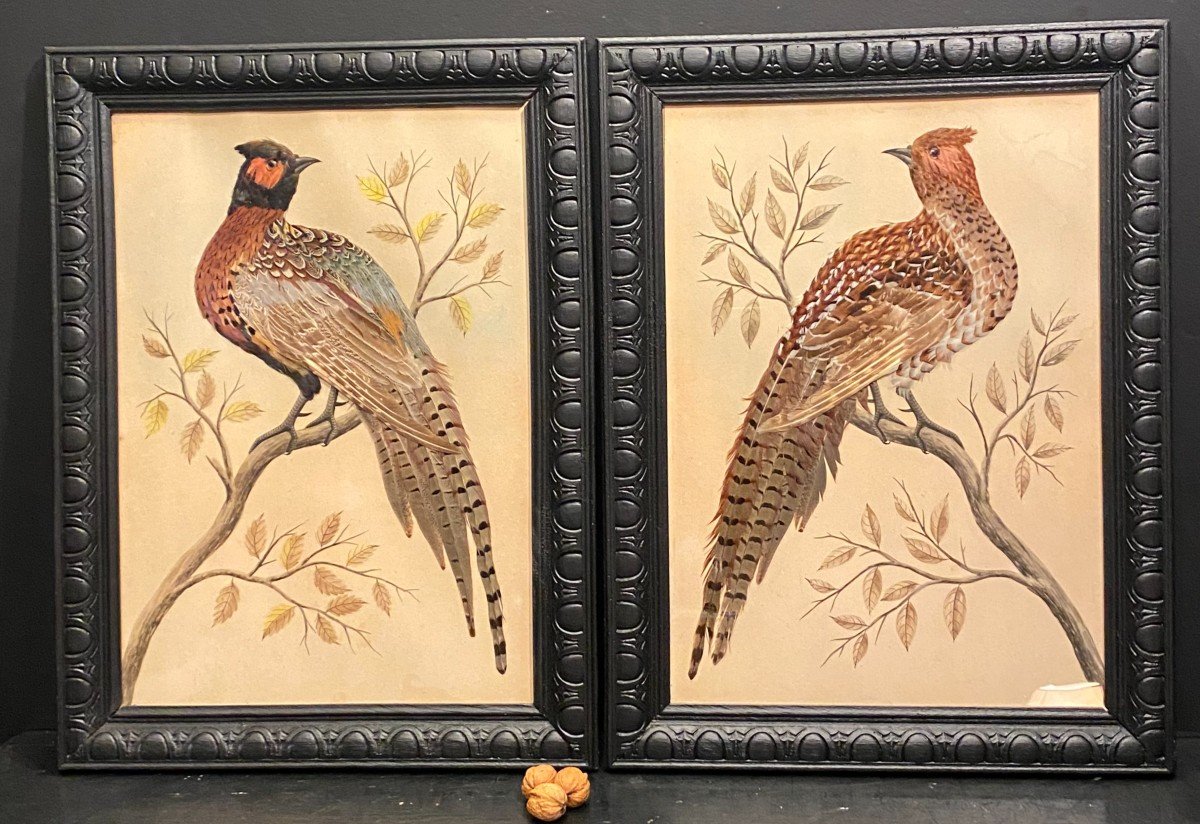 Pairs Of Paintings, Natural Feathers-photo-2