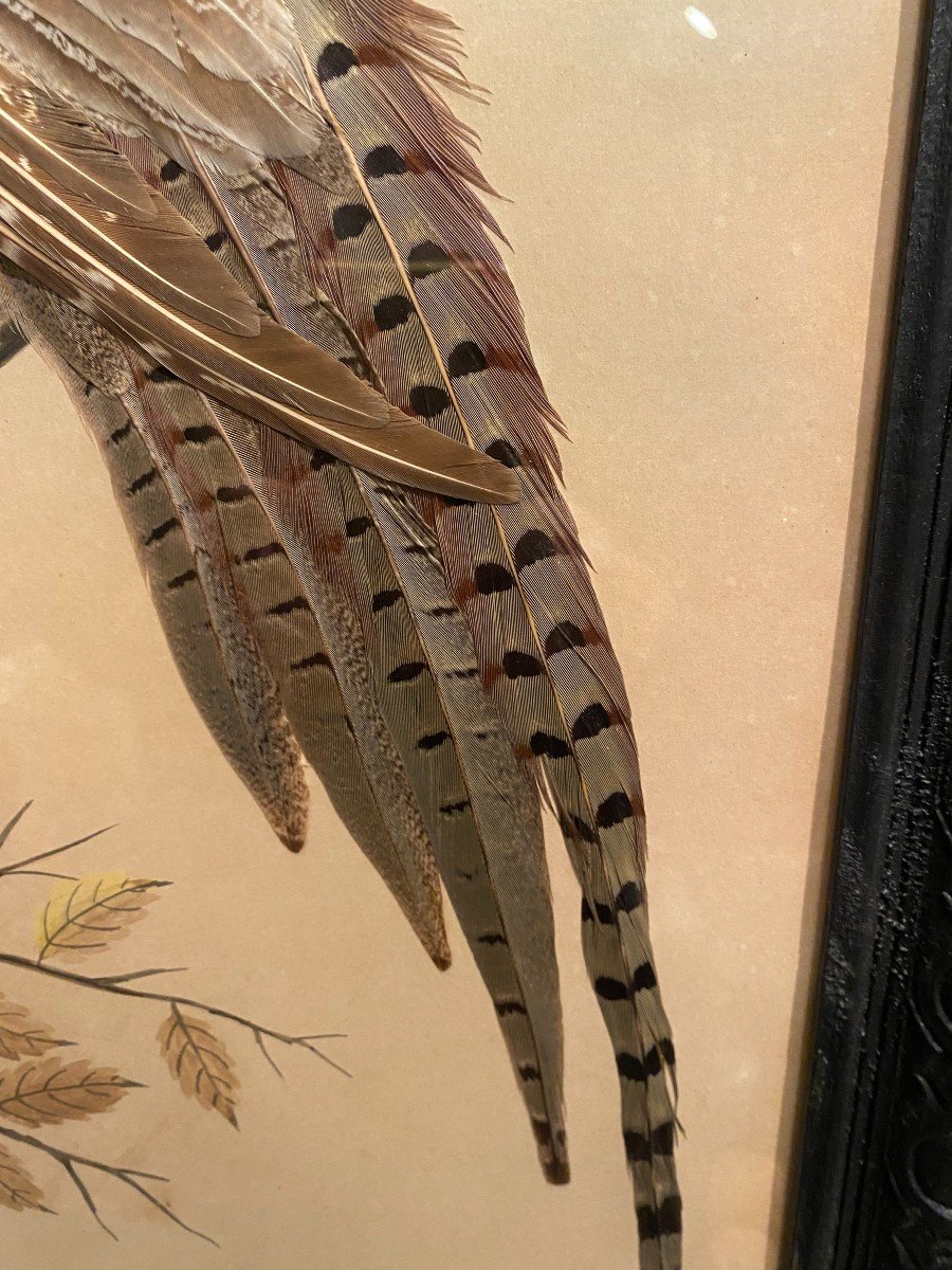 Pairs Of Paintings, Natural Feathers-photo-2