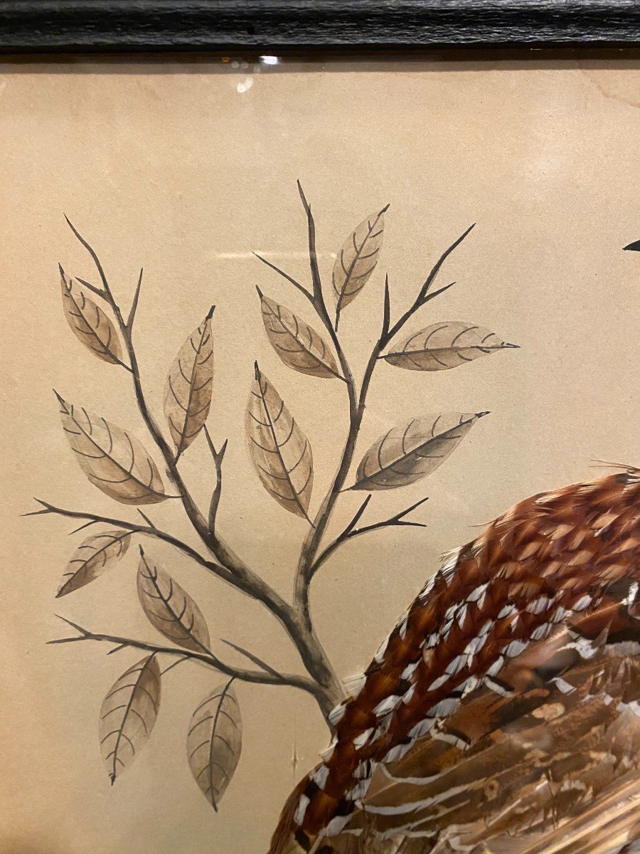 Pairs Of Paintings, Natural Feathers-photo-8