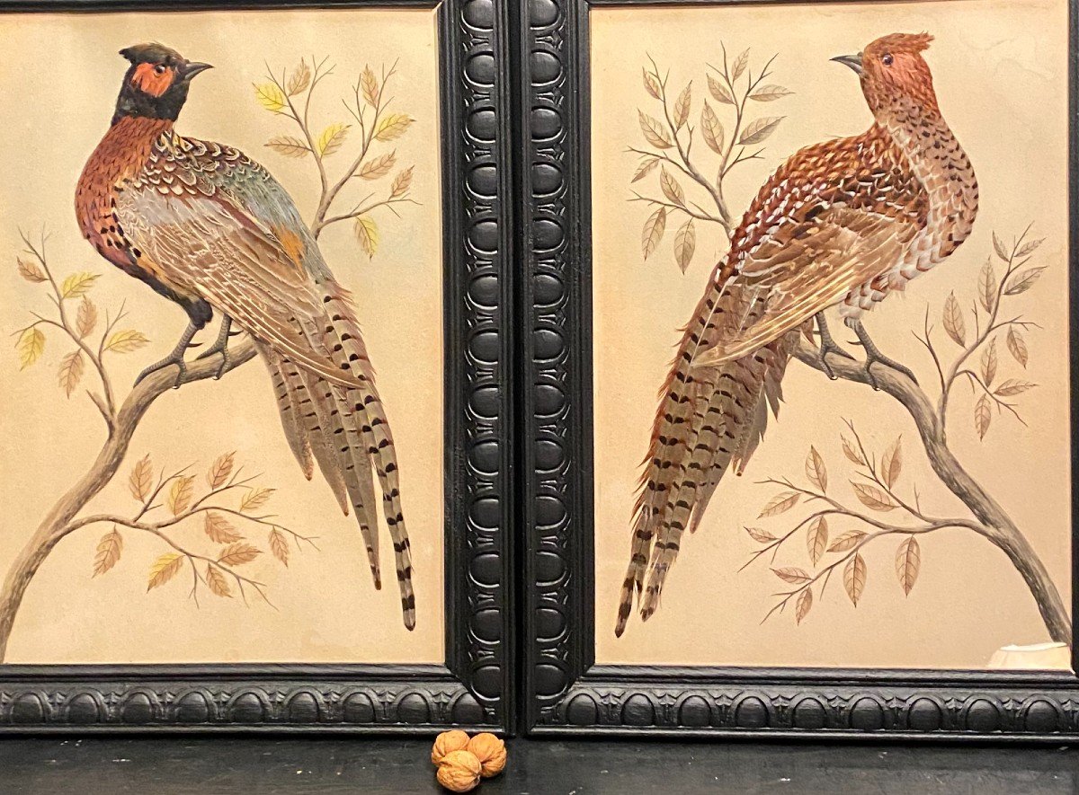 Pairs Of Paintings, Natural Feathers