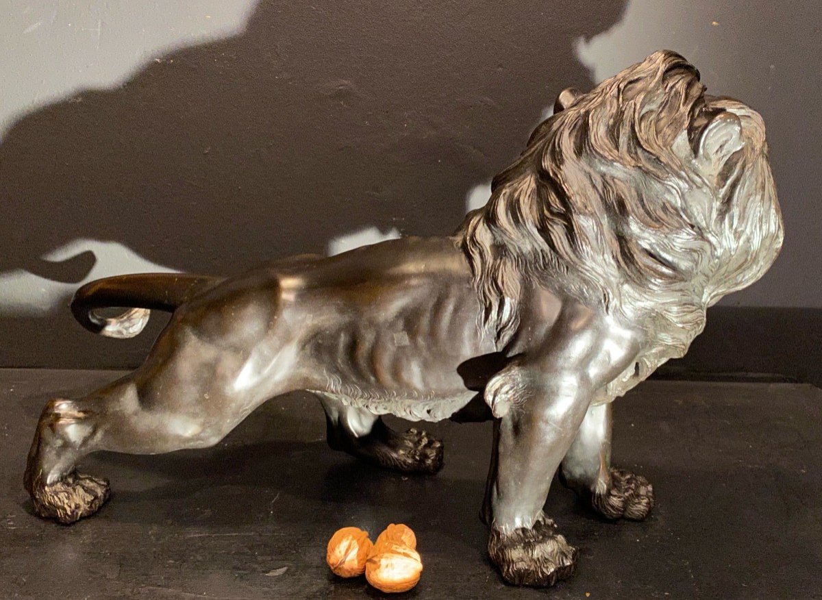 Lion En Bronze.-photo-2