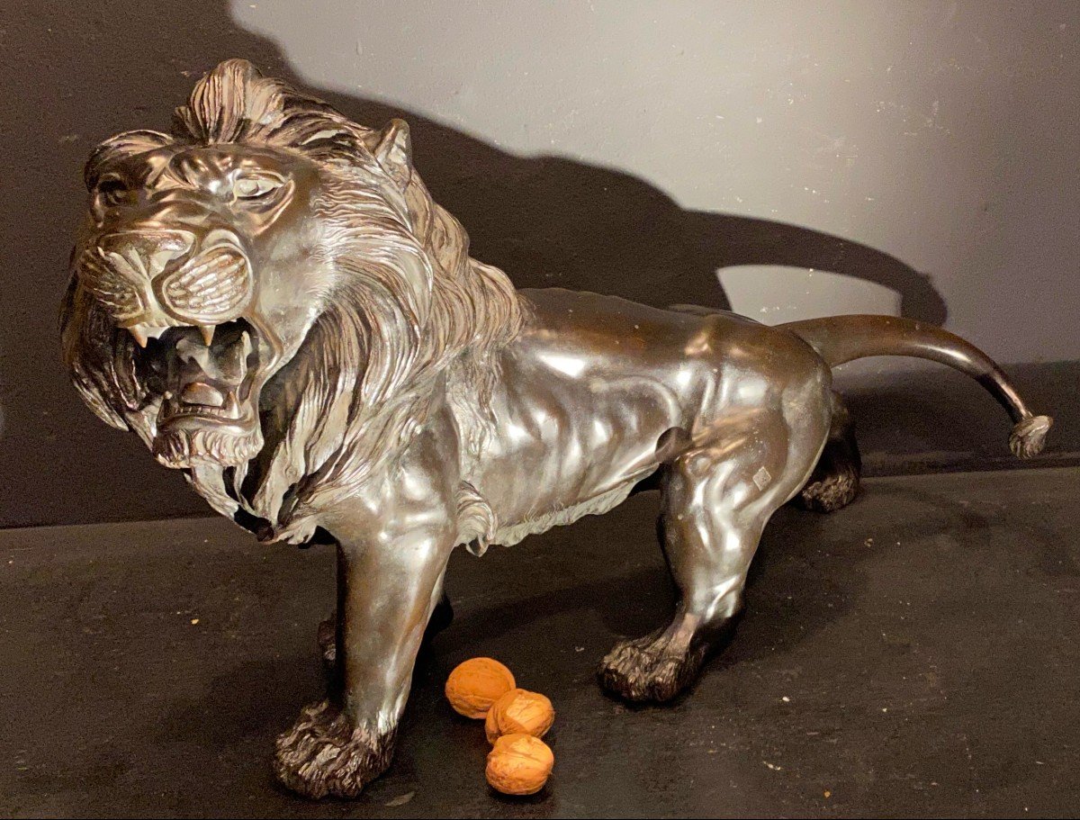 Lion En Bronze.-photo-3