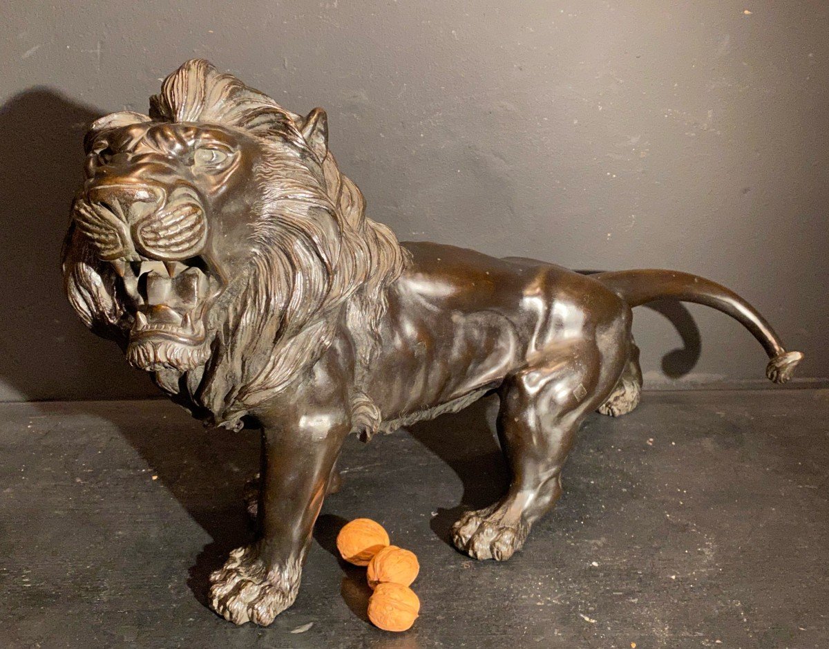 Lion En Bronze.-photo-4