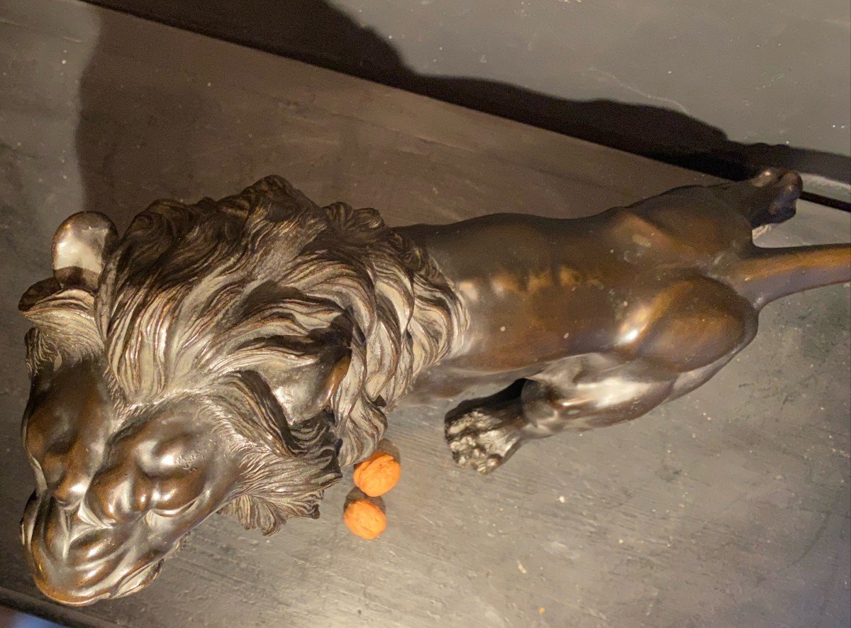 Lion En Bronze.-photo-4