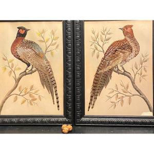 Pairs Of Paintings, Natural Feathers